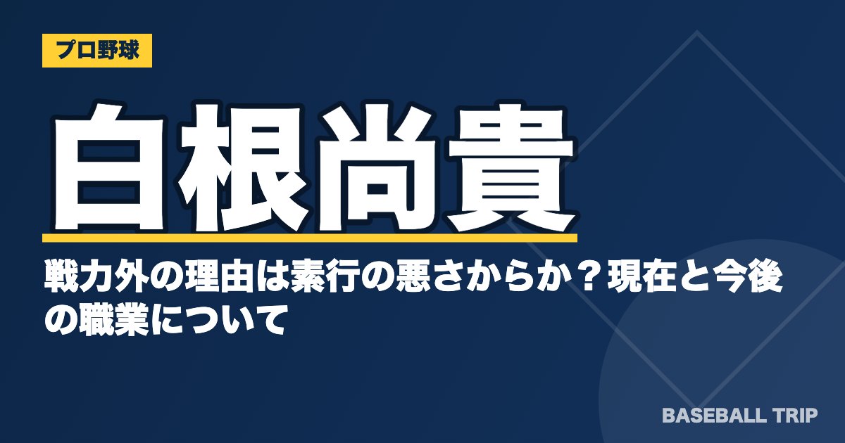 白根尚貴が戦力外の理由は素行の悪さからか？現在と今後の職業について