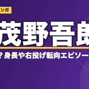 アニメ『メジャー』の茂野吾郎のモデルは？身長や右投げ転向エピソードも