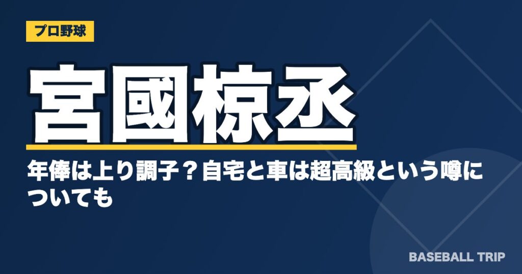 宮國椋丞の年俸は上り調子?自宅と車は超高級という噂についても