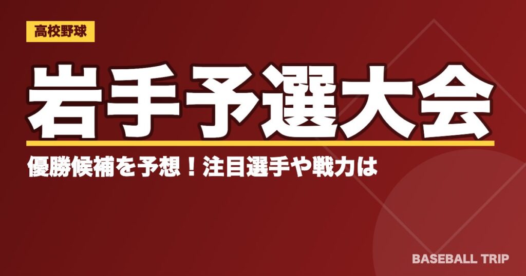 【2019夏季高校野球】岩手予選大会の優勝候補を予想!注目選手や戦力は?